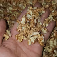 مغز گردو اسفراین پرچرب درجه 1