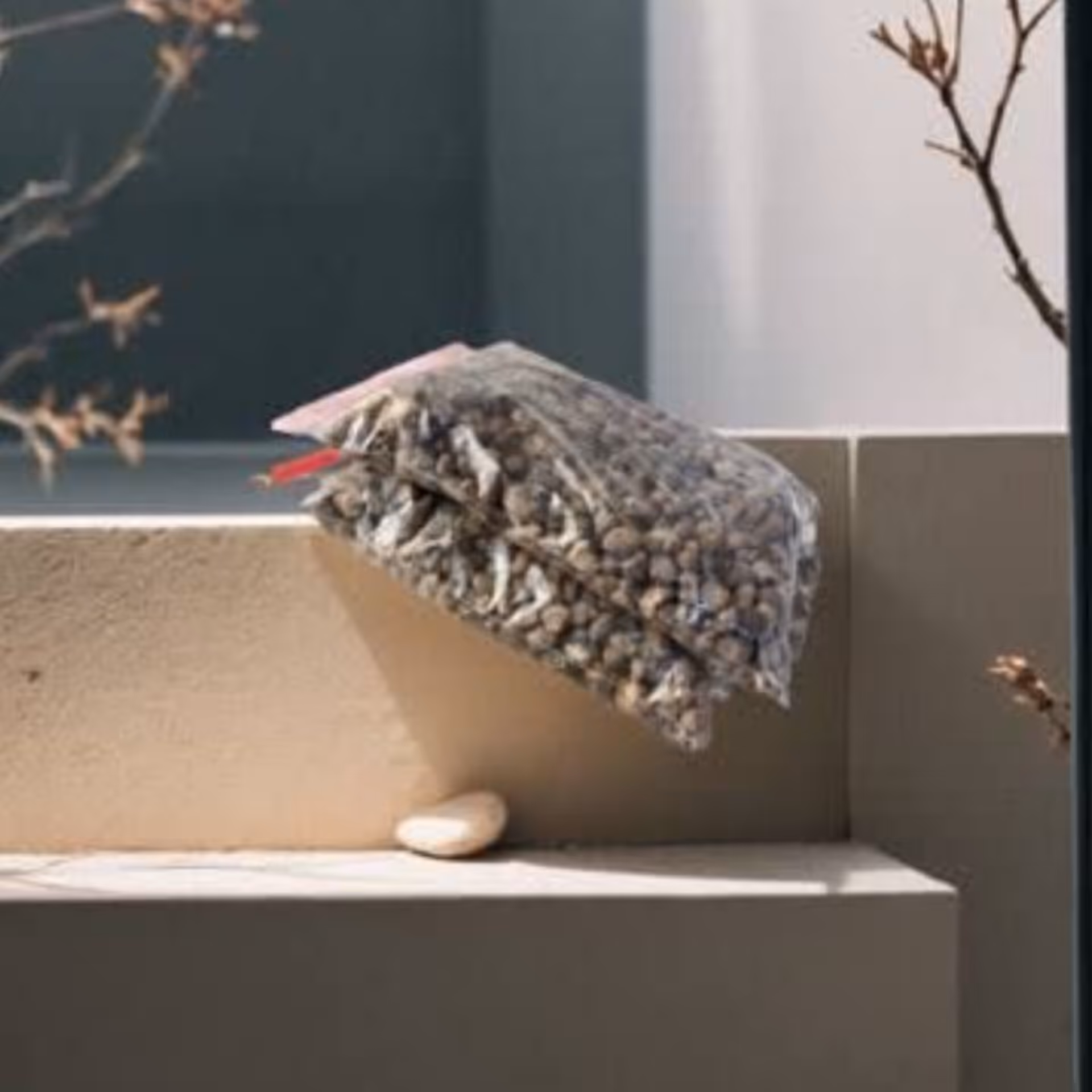 لیکاپون درشت (خاک کاشت هیدروپونیک) 