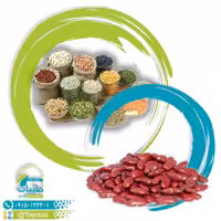 لوبیا قرمز (ایرانی)