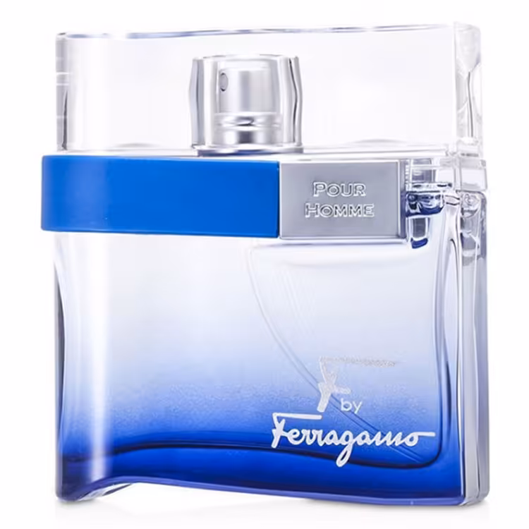 ادو تویلت مردانه Salvatore Ferragamo F by Free Time حجم 100 میلی لیتر