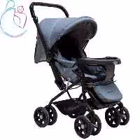 کالسکه دلیجان مدل 130 مامزنینی