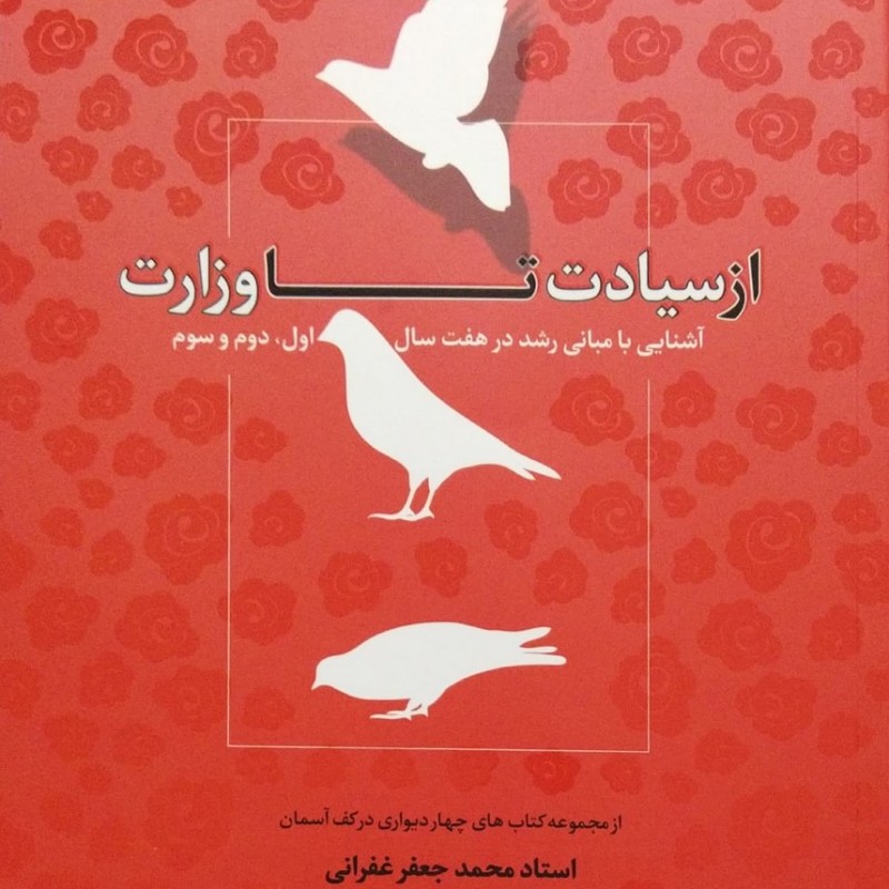 از سیادت تا وزارت