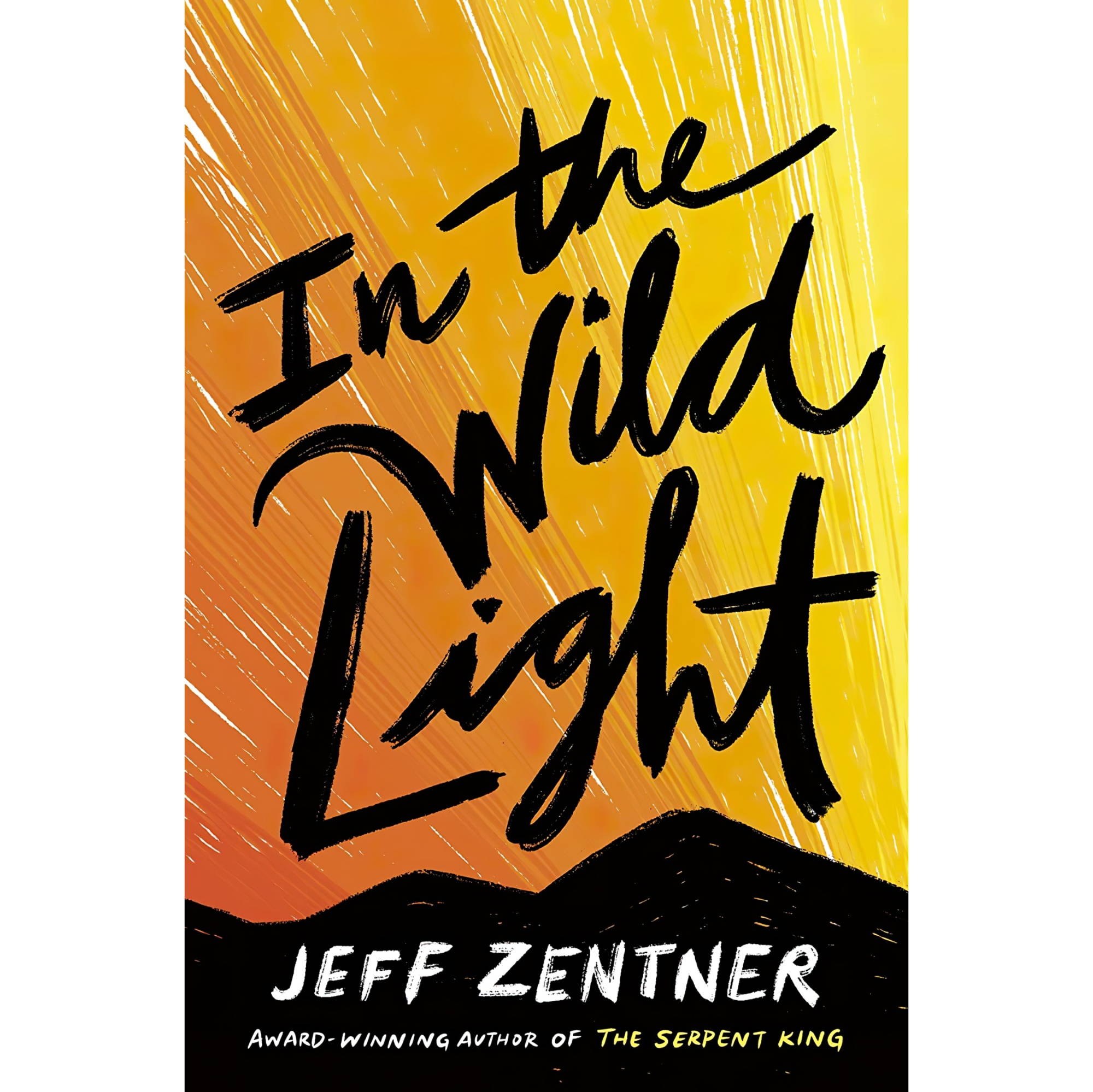 کتاب زبان اصلی In the Wild Light اثر Jeff Zentner