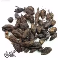 سعد کوفی درجه 1 1کیلوگرم