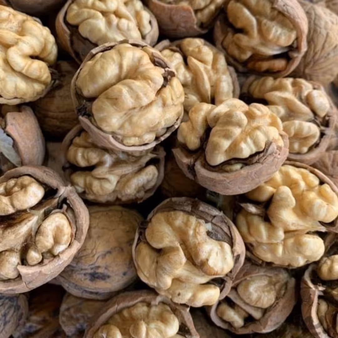 گردو همدان تویسرکان