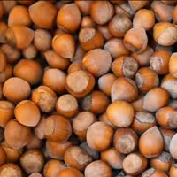 فندق اشکورات 