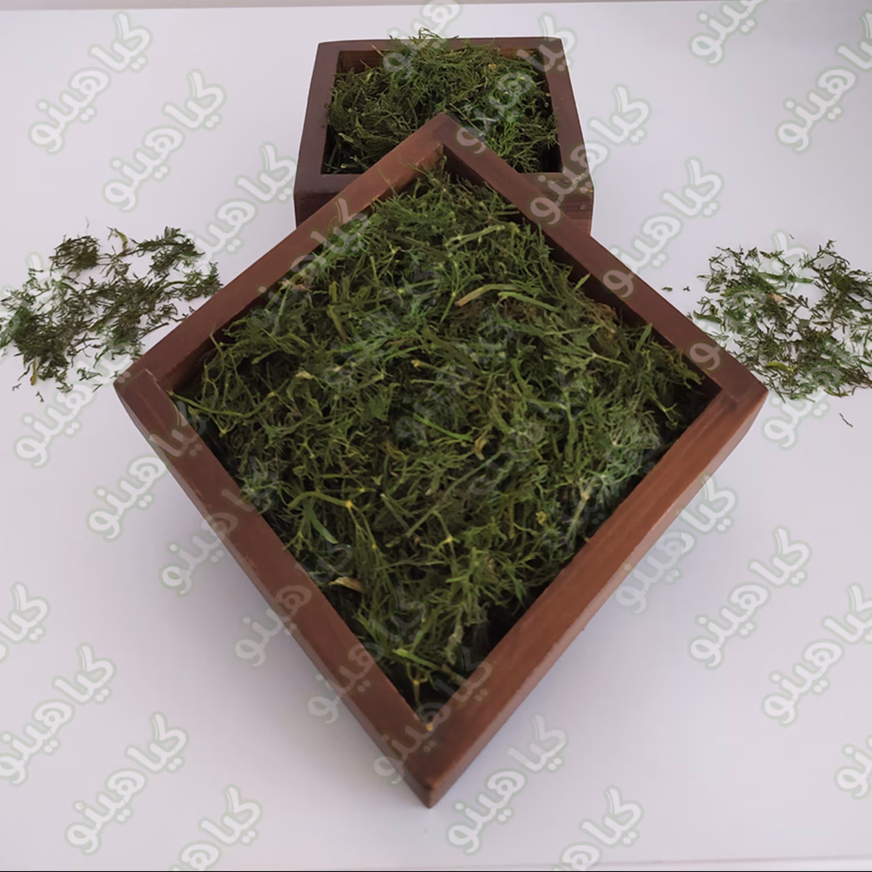 شوید خشک پفکی اعلا 500 گرمی گیاهینو