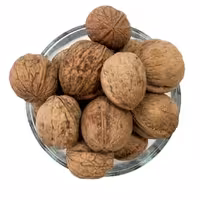 گردو ایرانی درجه یک چرب و خوش طعم محصول تویسرکان