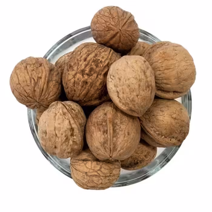 گردو ایرانی درجه یک چرب و خوش طعم محصول تویسرکان