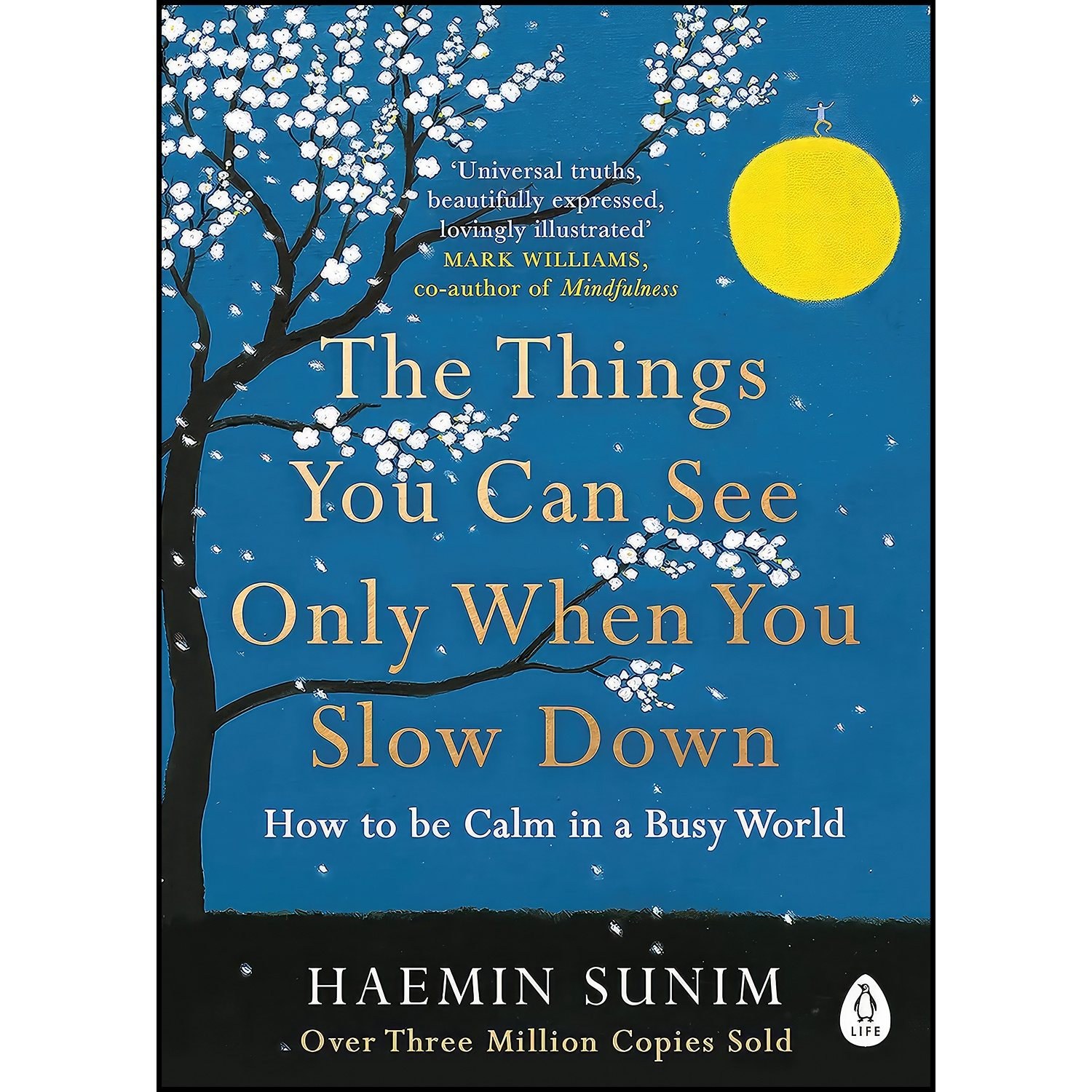 کتاب زبان اصلی The Things You Can See Only When You Slo انتشارات Penguin Life