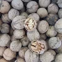 گردو با پوست ایرانی نیم کیلویی آذرشهر