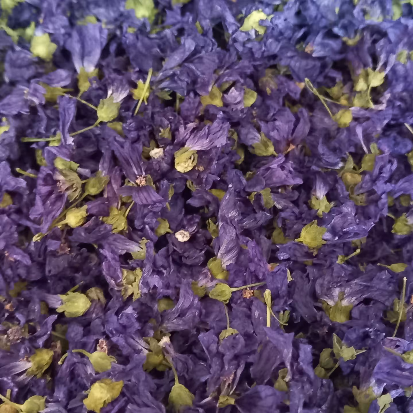 پنریک در بسته بندی 50گرمی