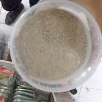 قوتو مغز اعلا