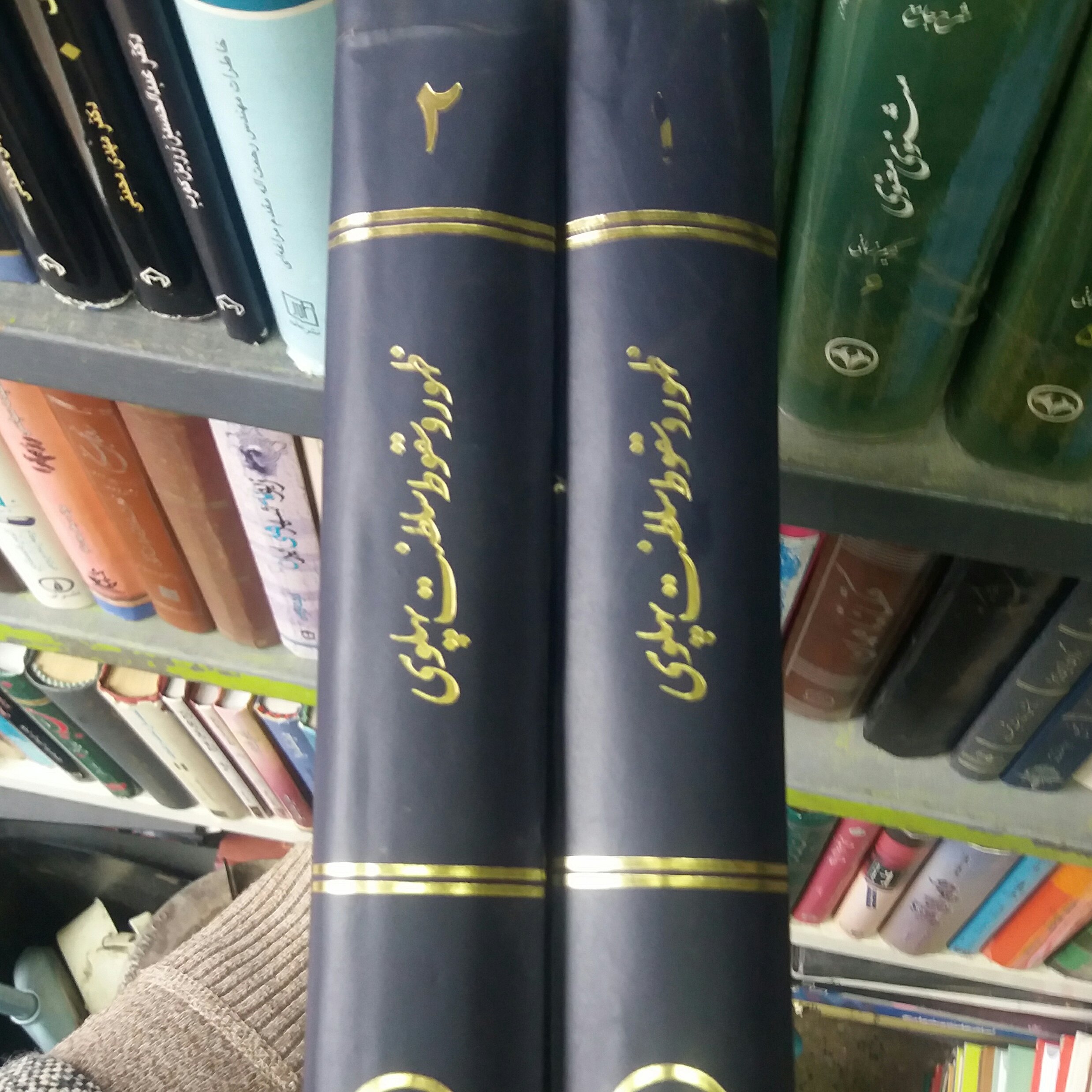 کتاب ظهور و سقوط سلطنت پهلوی