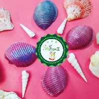 صابون  معطر گوش فیل دریایی مناسب گیفت و دانش آموزان کلاس اولی (صاد مثل صدف)