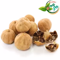 لیمو عمانی ممتاز 5ستاره 500گرم حاج اکبر