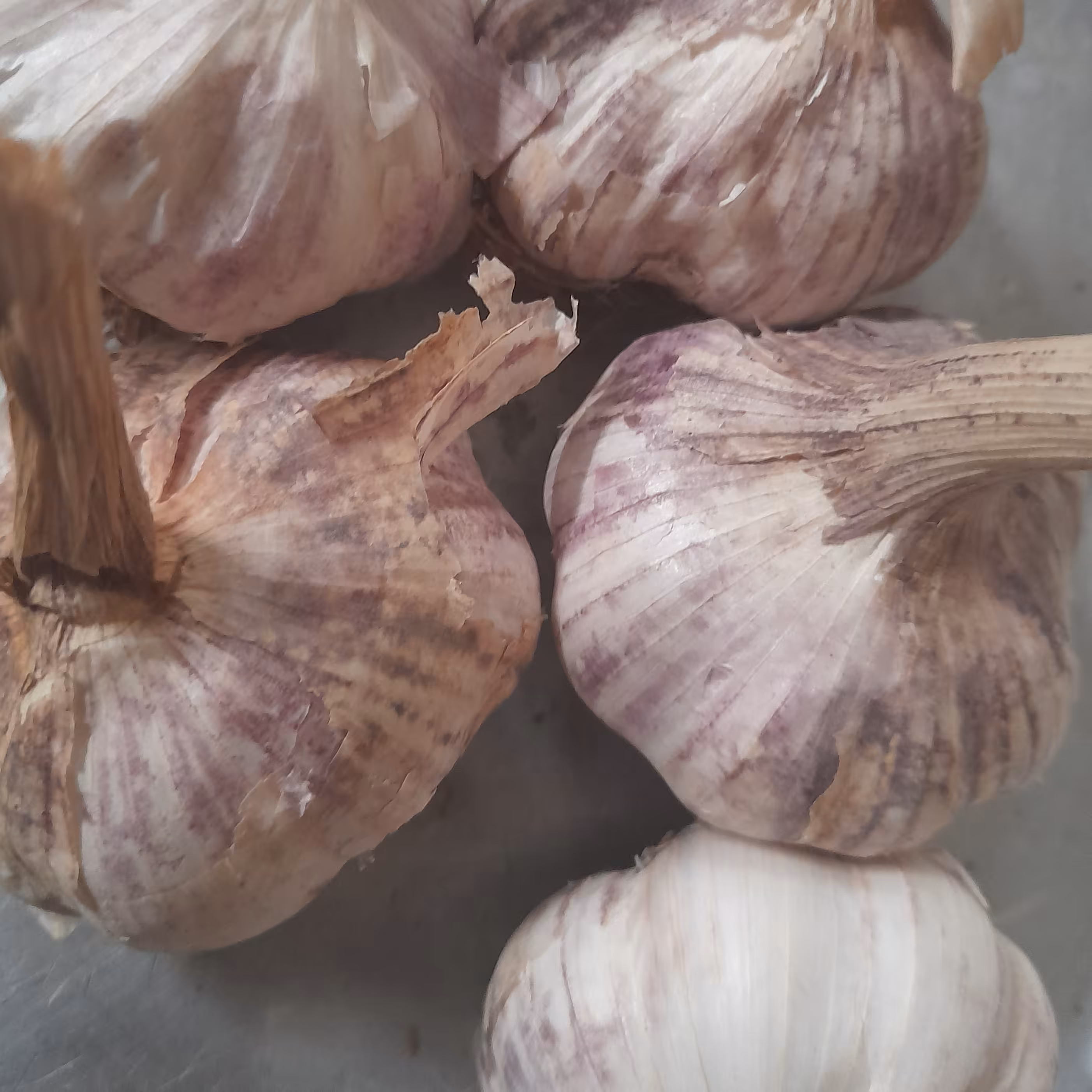 سیر خشک درجه 1 (3000گرمی)