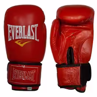دستکش بوکس چرمی Everlast