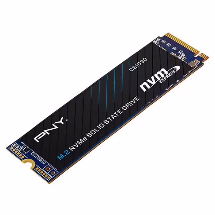 حافظه اس اس دی PNY CS1030 M.2 NVMe 250GB