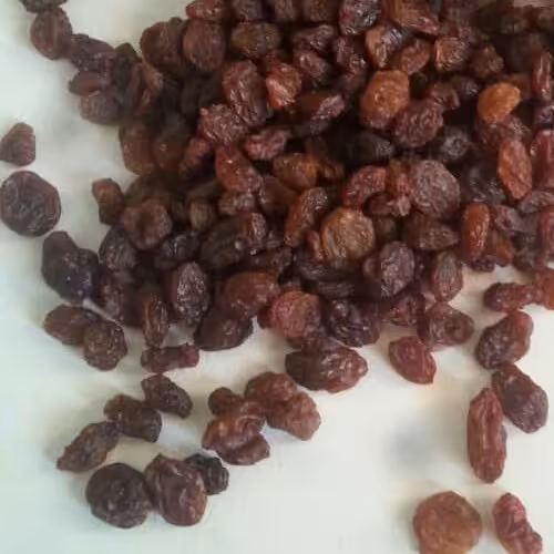 کشمش آفتابی ارگانیک بدون دم و پاک شده 800 گرمی امسالی