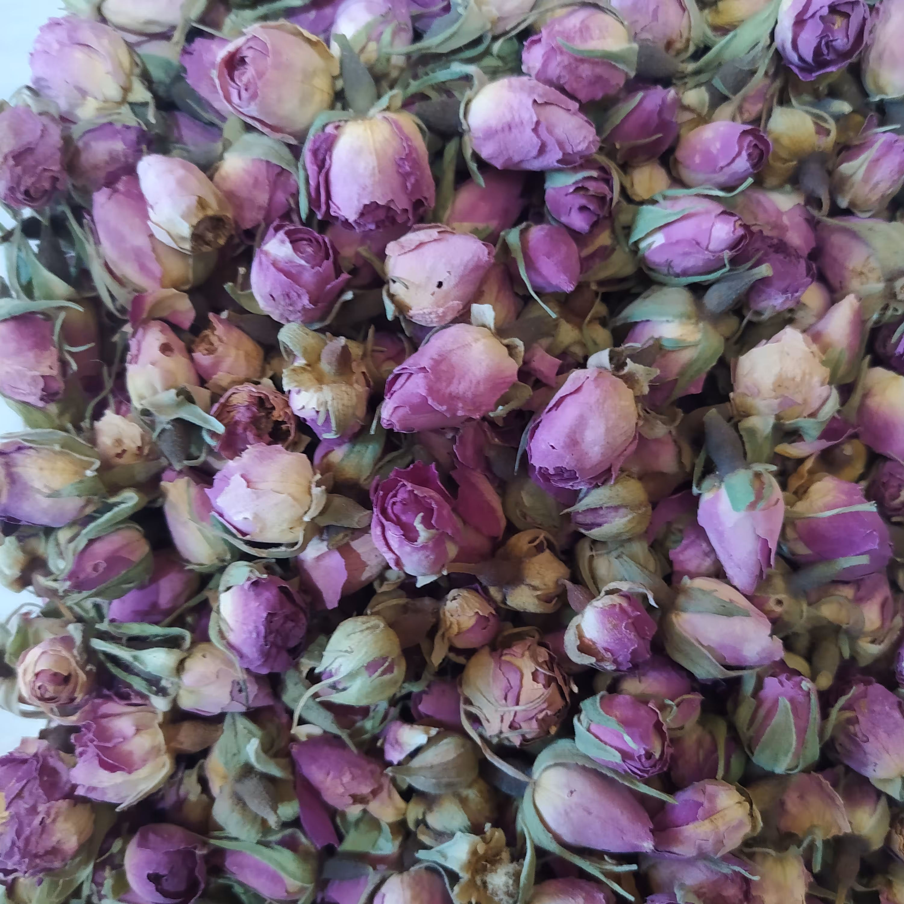 غنچه گل محمدی یک کیلویی