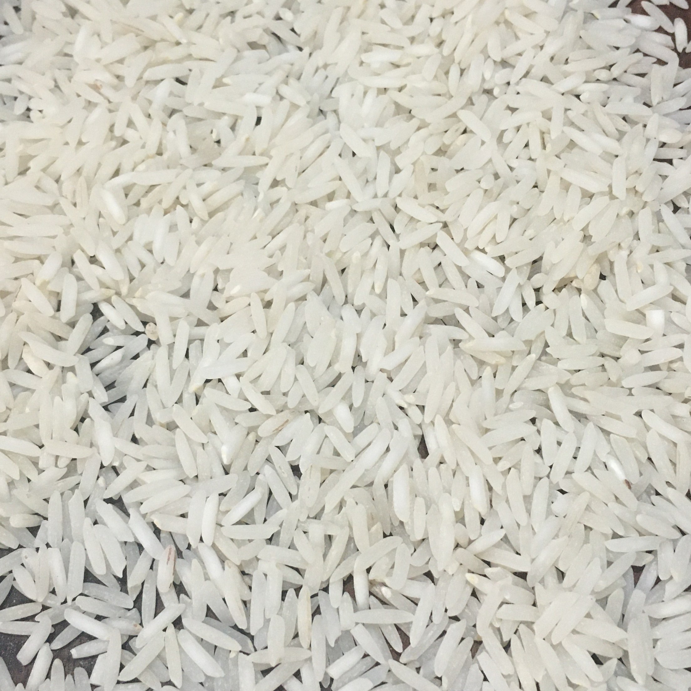 برنج طارم روشن خوش پخت خوش طعم بوجار و سورت شده بدون ناخالصی  مستقیم از کشاورز