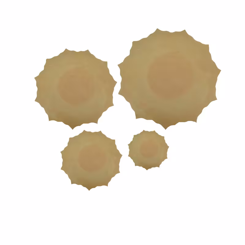 بشقاب سفالی خام مدل ستاره کد 4 مجموعه 4 عددی ( پس کرایه )