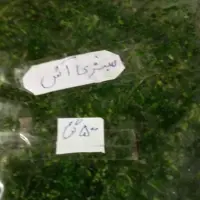 سبزی اش  شمال خوش عطر وبو