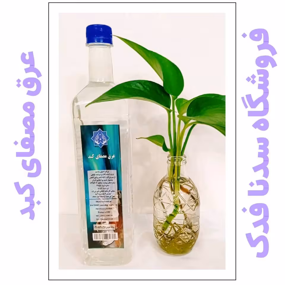 عرق مصفای کبد