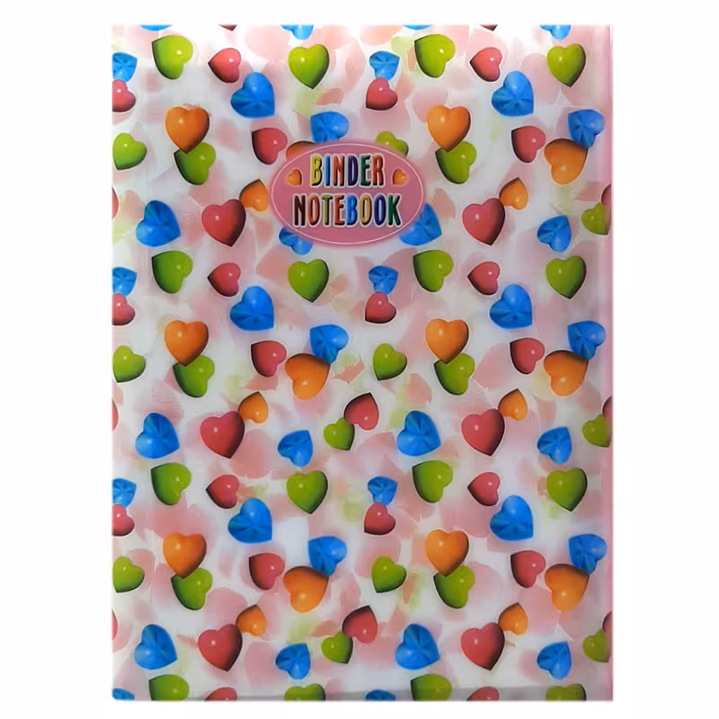 خرید دفتر کلاسوری طرح قلب پاپکو 100 برگ جیب دار کد NB-606