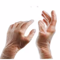 دستکش رز مریم 50 عددی چند منظوره وینولکس سایز لارج