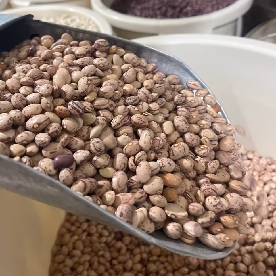 حبوبات لوبیا چیتی