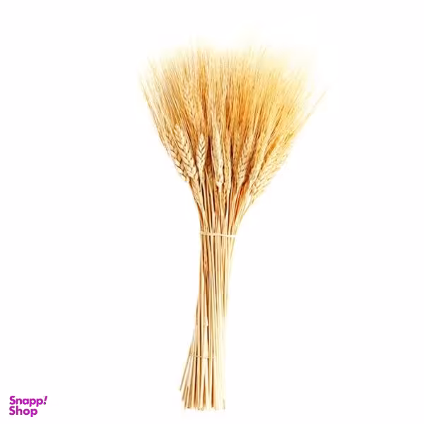 دسته گل خشک مدل خوشه گندم کد 70