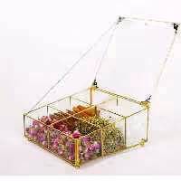جای تیبگ مدل کارمانیا