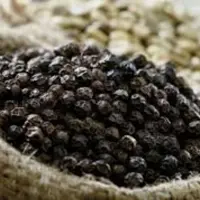 دانه فلفل سیاه  نیم کیلویی