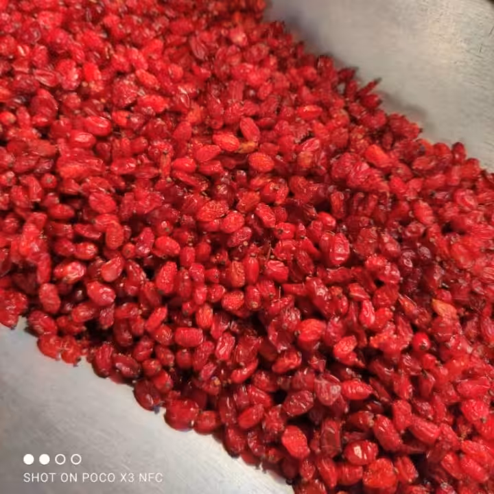 زرشک قائنات (درجه 1)