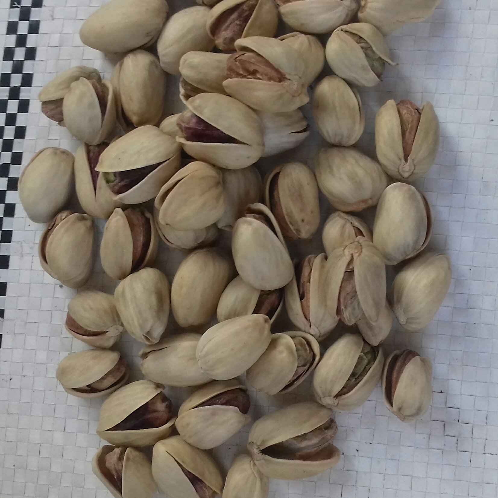پسته کله قوچی یک کیلویی. با کد تخفیف 20درصدی x0bvwrm4qk