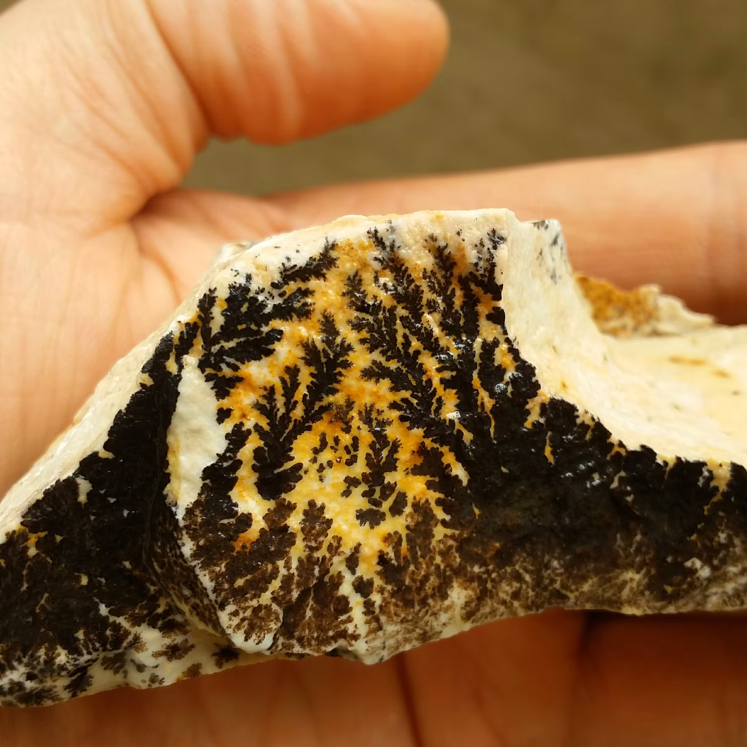 سنگ راف 100 در 100 طبیعی شجر دندریتی یا فسیلی محشر خاص شاهکار خلقت زیبا
شجر واضح خااااا ااااص