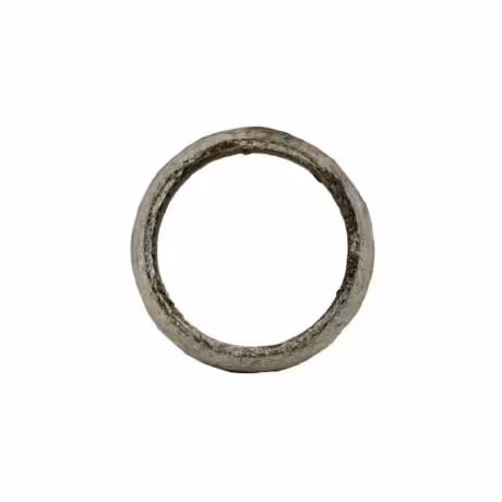 واشر گلویی اگزوز آریو