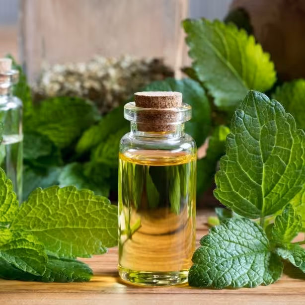 روغن بادرنجبویه  30 سی سی مناسب پوست و رفع افسردگی