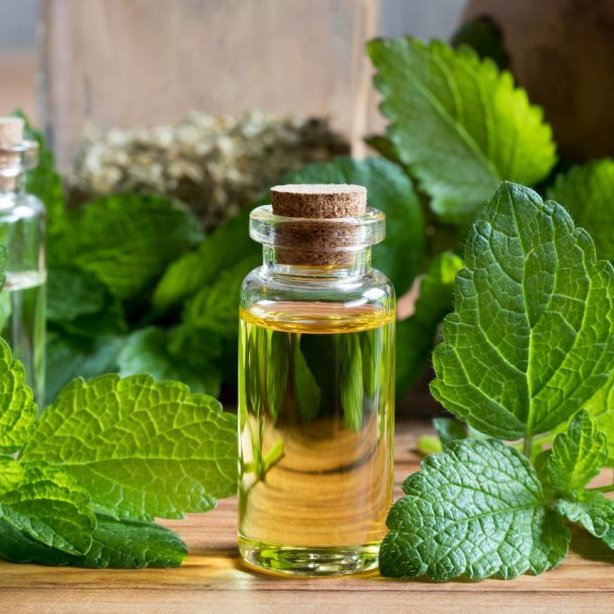 روغن بادرنجبویه 30 سی سی مناسب پوست و رفع افسردگی