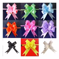 پاپیون کاغذی سایز بزرگ (بسته 10 عددی)(روبان آماده ی کشی -رنگ انتخابی)