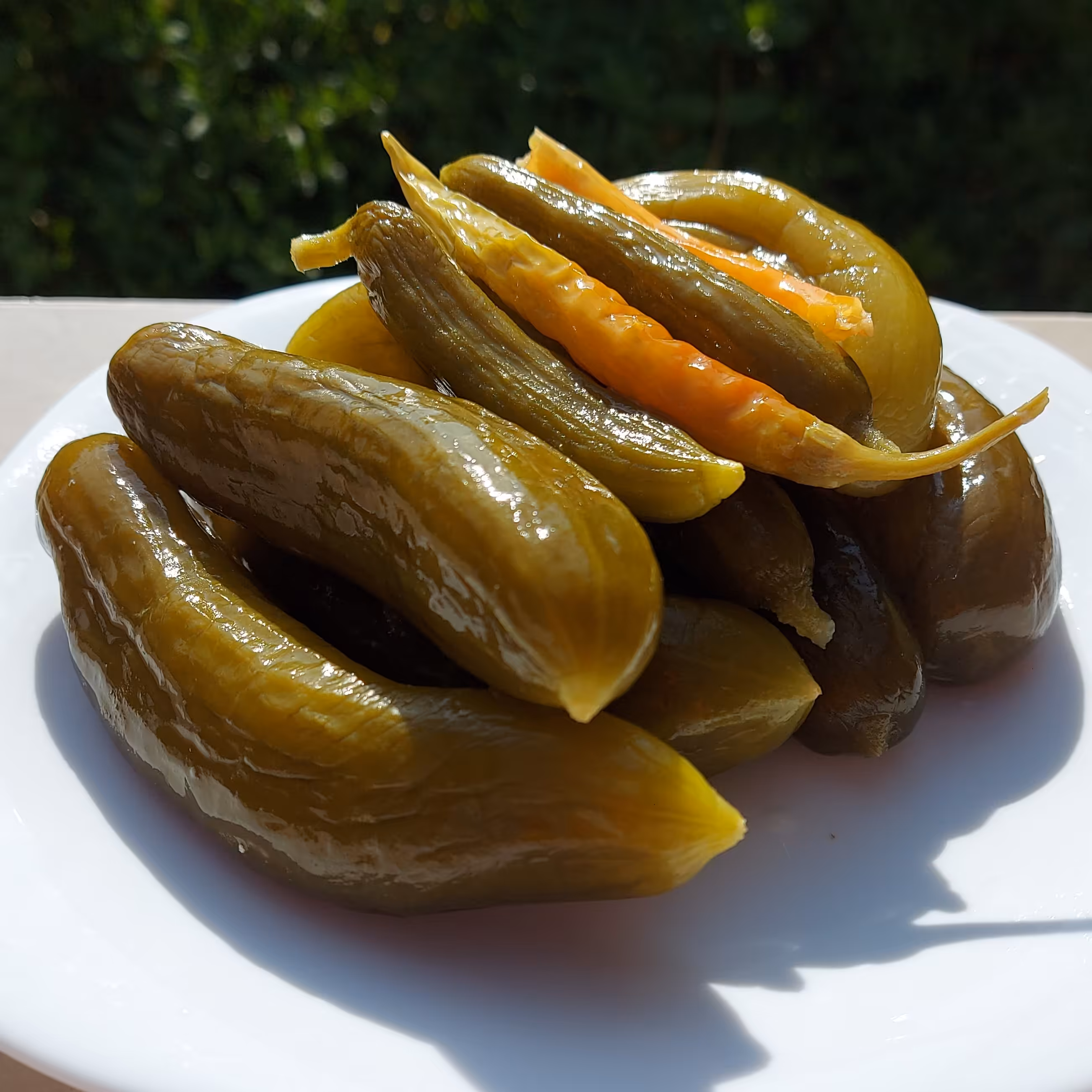 خیارشور درجه یک تهیه شده از خیار بوته ای ارگانیک