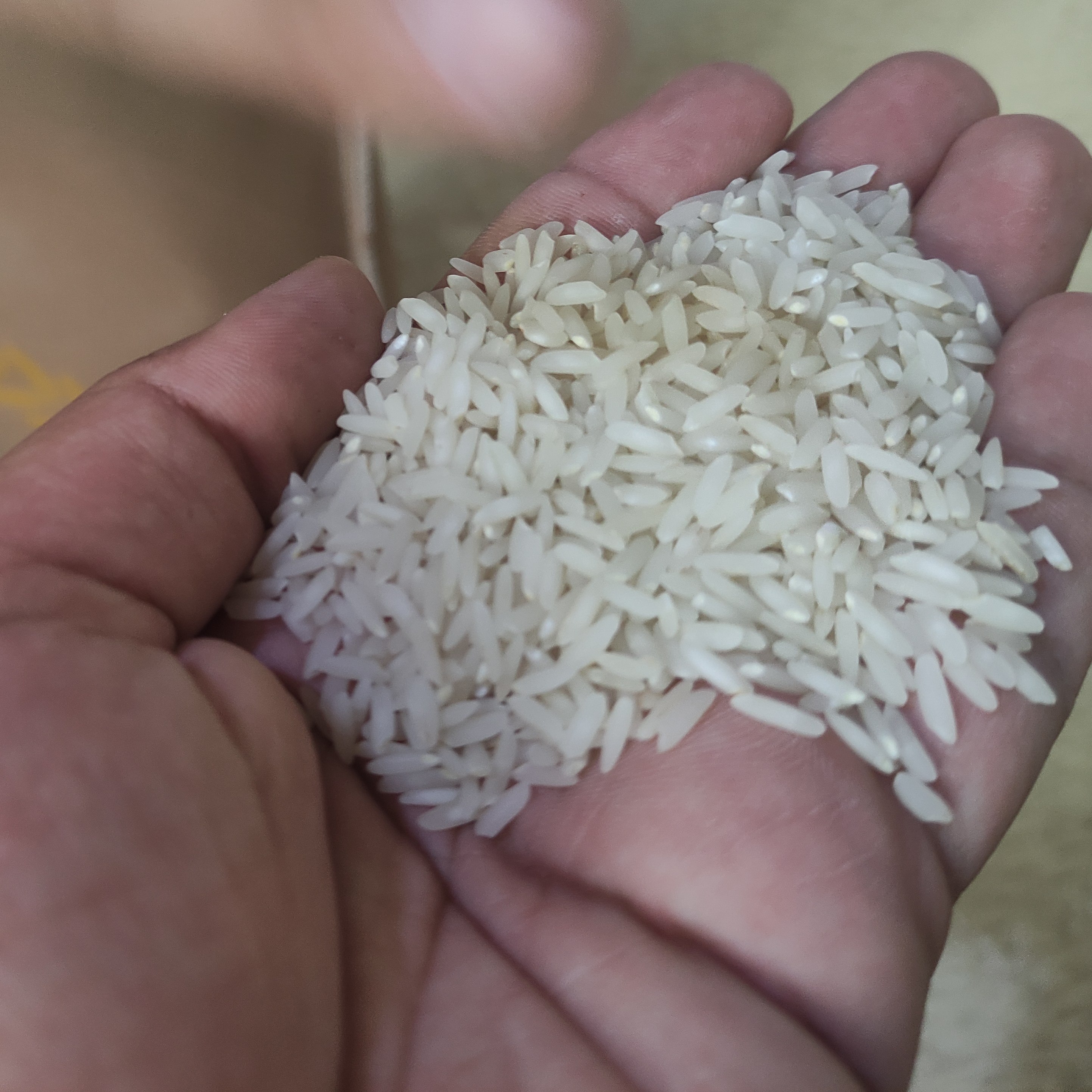 برنج بی نام (دوباره کشت)درجه 1