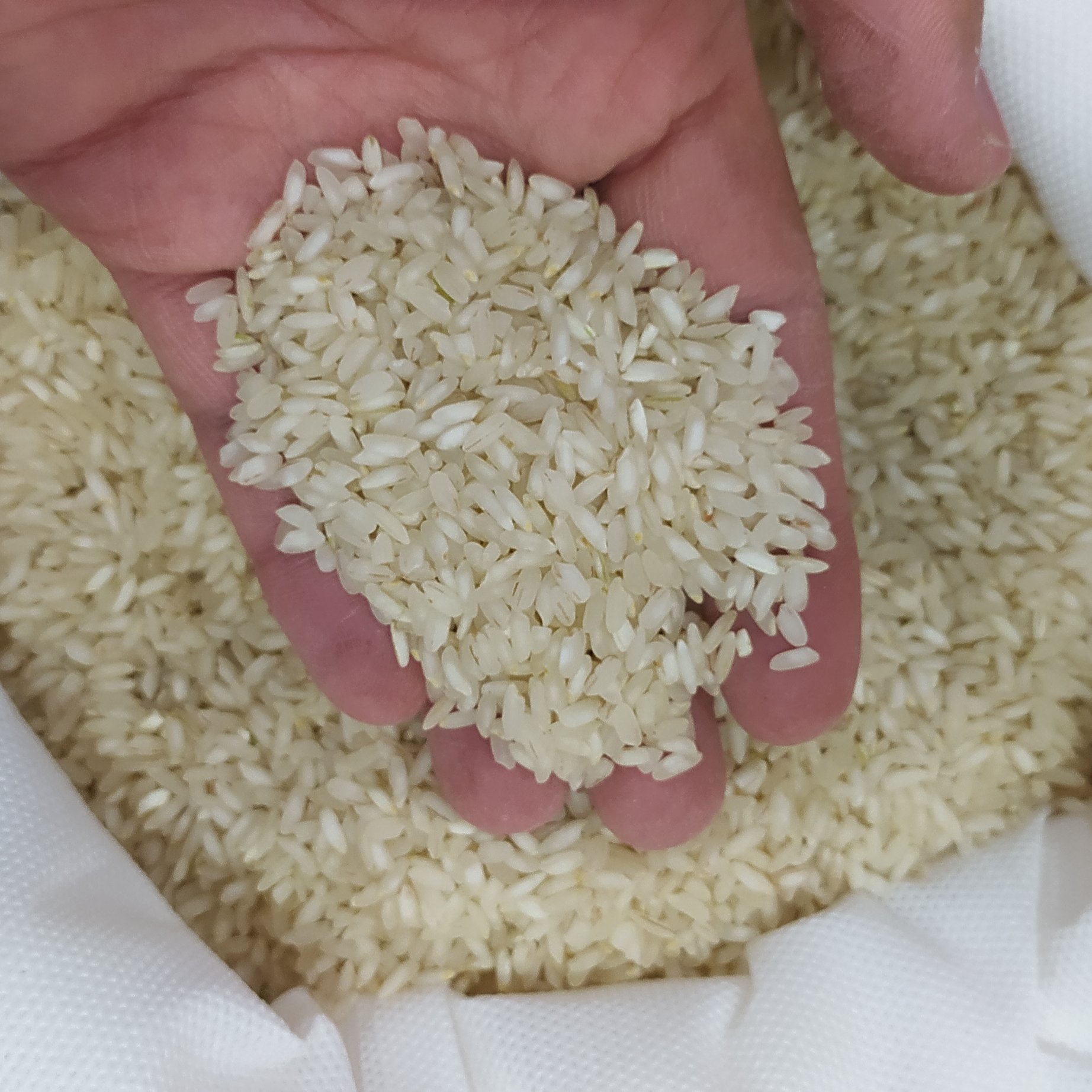 برنج عنبربو درجه یک (1کیلویی )