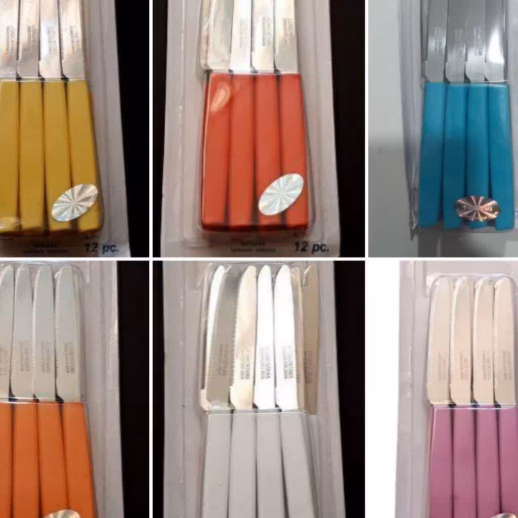 چاقو  کارد  ارامانتانامیوه خوری اره ای تیغه استیل و دسته پلاستیک  