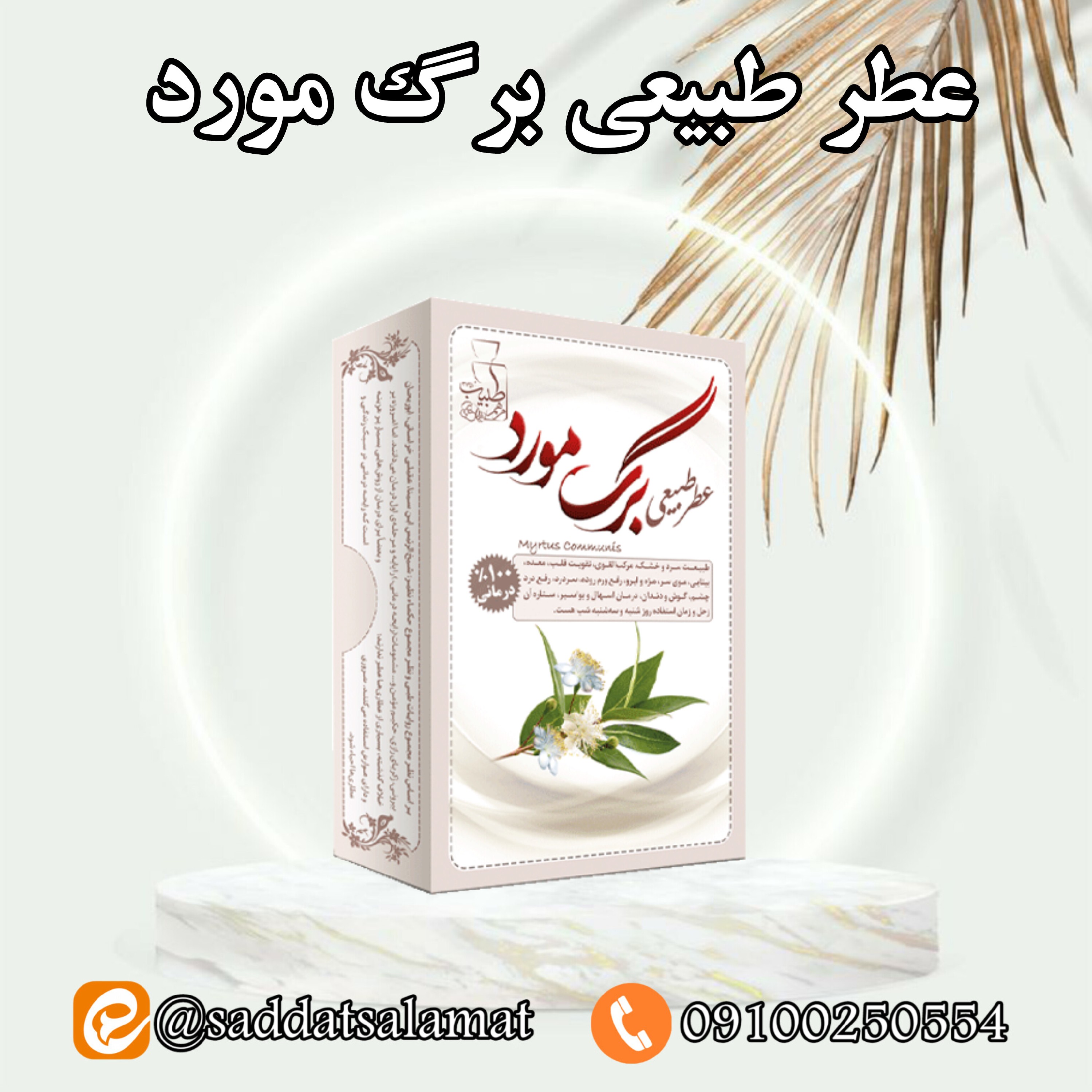 عطر طبیی برگ مورد 