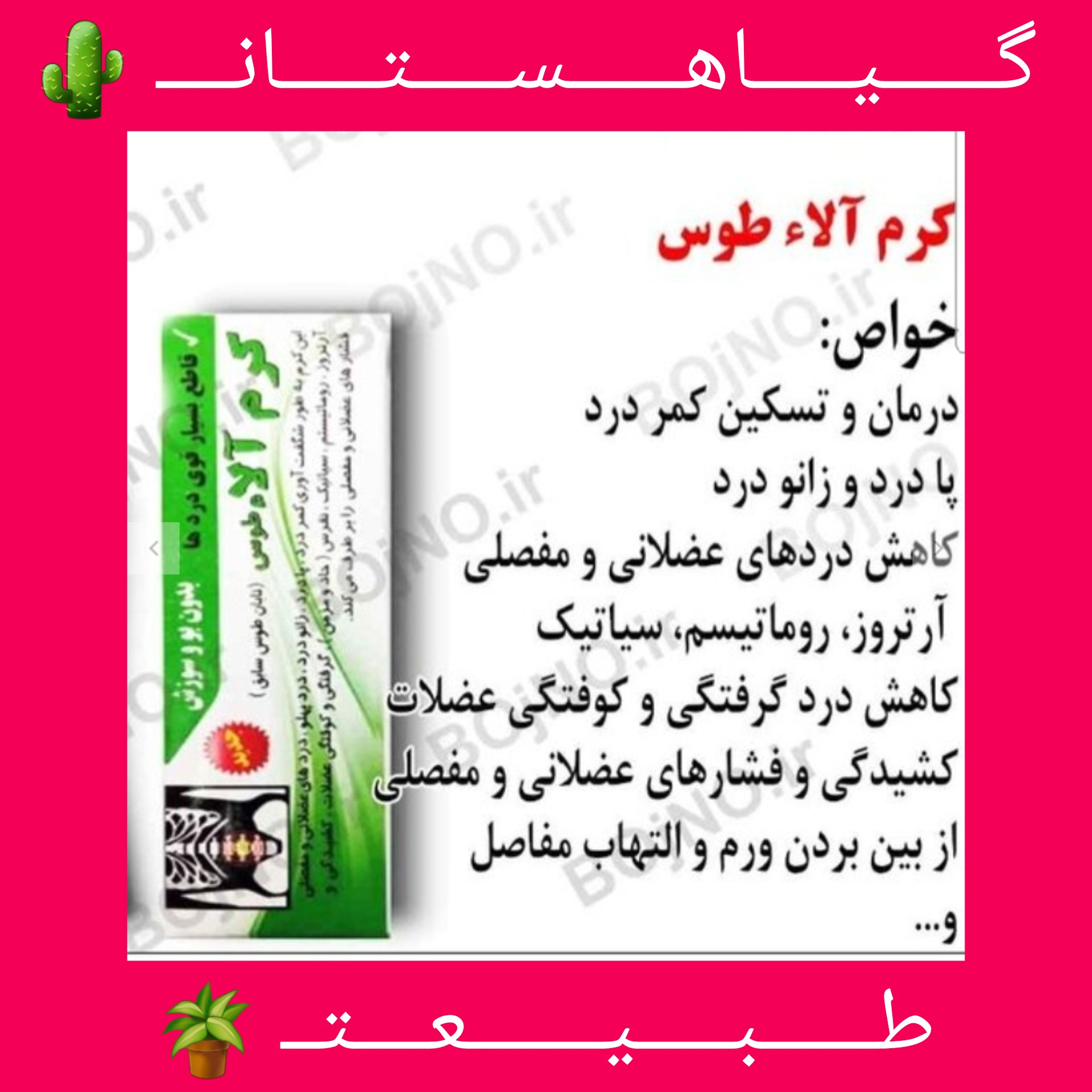 کرم آلاءطوس اصلی (قاطع کمر درد )فوق العاده