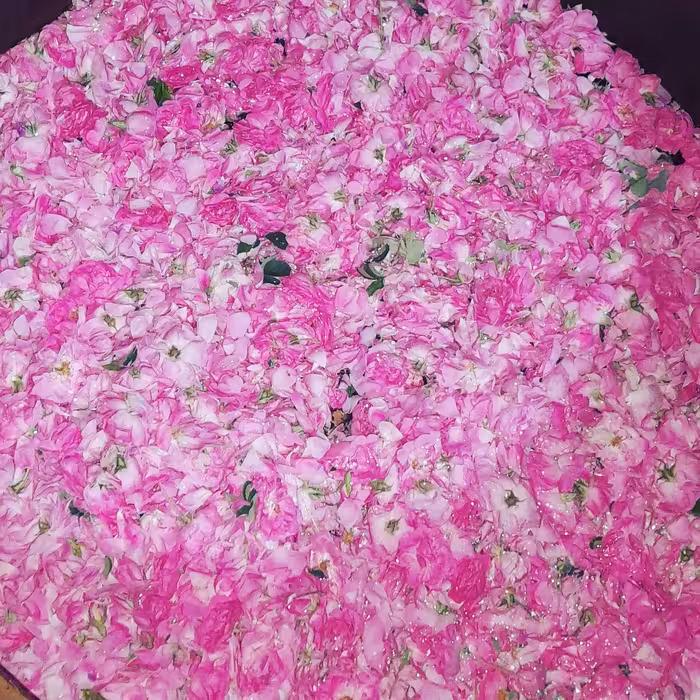 گلاب ویژه پاسلار