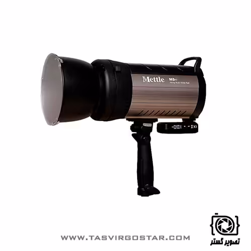 فلاش استدیویی متل MS Battery MS-600